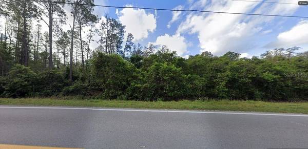 DEEN STILL RD RD, Polk City, FL 33868