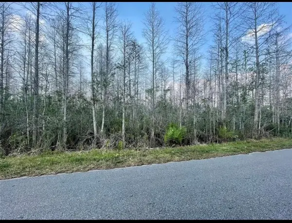 LUNA DR, St Cloud, FL 34773