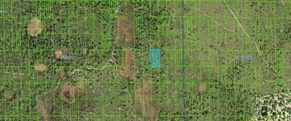 SHADY OAKS DR, Lake Wales, FL 33898