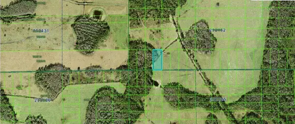 COMMONWEALTH AVE N, Polk City, FL 33868