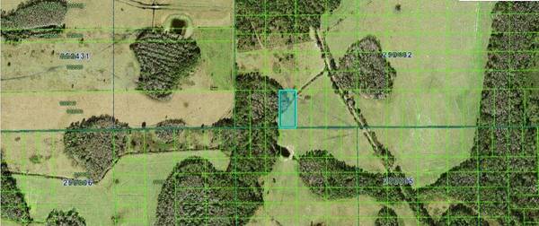 COMMONWEALTH AVE N, Polk City, FL 33868