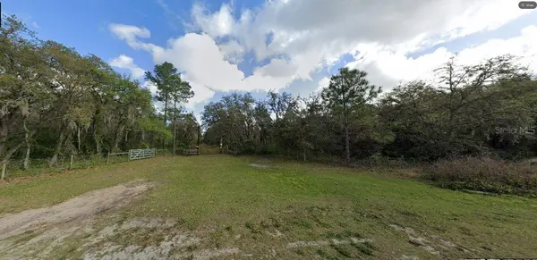 DEEN STILL RD, Polk City, FL 33868