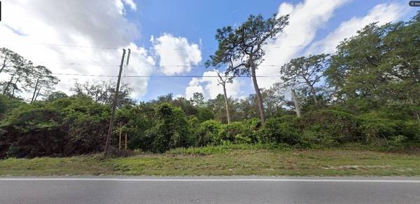 DEEN STILL RD, Polk City, FL 33868