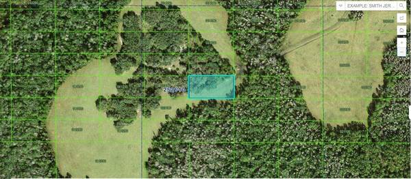TALL PINE RD, Polk City, FL 33868
