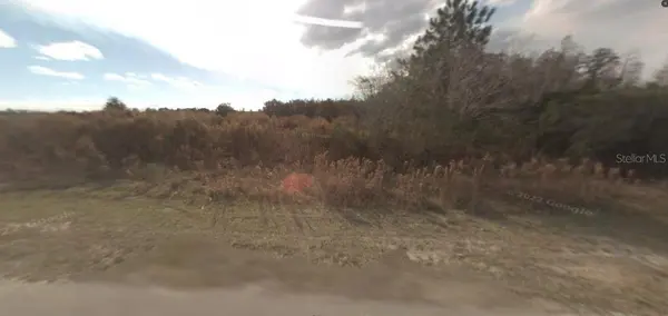BACKLAND PATH RD, Polk City, FL 33868