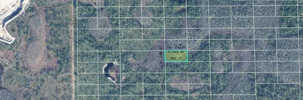 DILL RD, Orlando, FL 32820