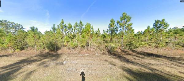 CALENDULA DR, Indian Lake Estates, FL 33855