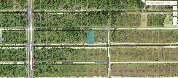 CALENDULA DR, Indian Lake Estates, FL 33855