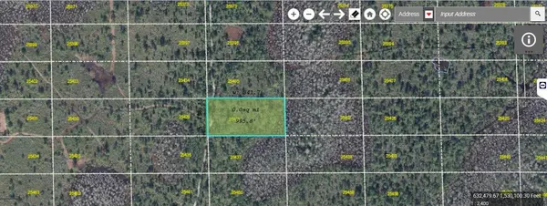 DILL RD, Orlando, FL 32820