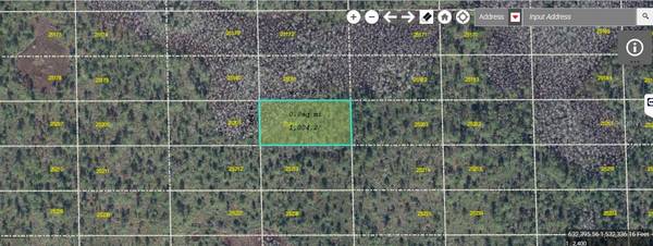 DILL RD, Orlando, FL 32820