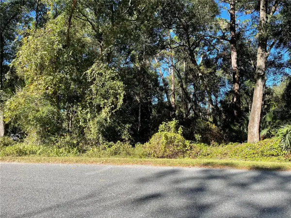 6954 SE 170TH AVENUE RD, Ocklawaha, FL 32179