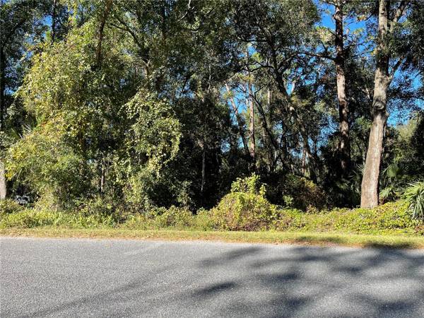 6954 SE 170TH AVENUE RD, Ocklawaha, FL 32179