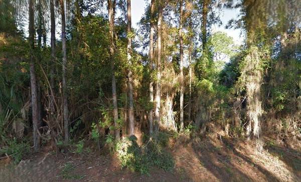 LUTZ RD, North Port, FL 34286