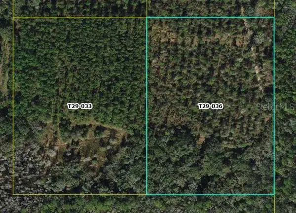 CR 772B, Webster, FL 33597