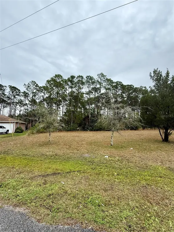 245 ULLIAN TRL, Palm Coast, FL 32164