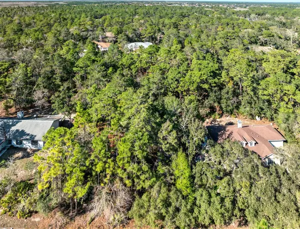 9003 GLENARM WAY, Weeki Wachee, FL 34613