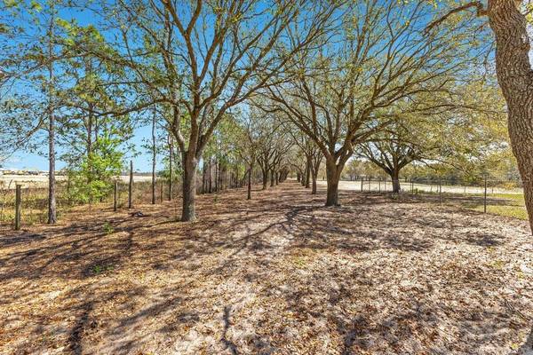 4649 MEADOWLAND DR, Mount Dora, FL 32757