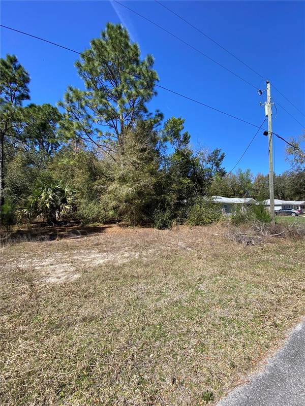 8630 N CATAPANE LOOP, Crystal River, FL 34428