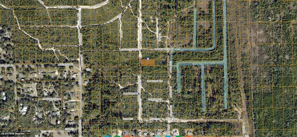 HOLLYHOCK E, Deland, FL 32724