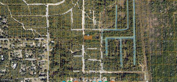 HOLLYHOCK E, Deland, FL 32724