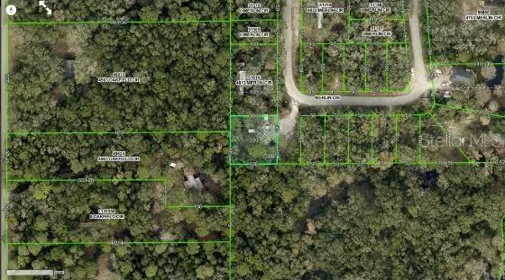 4809 MERLIN CIR, Ridge Manor, FL 33523