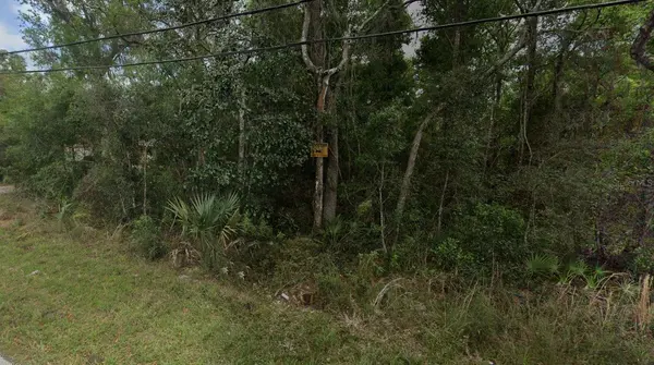 REYNOLDS RD, De Leon Springs, FL 32130