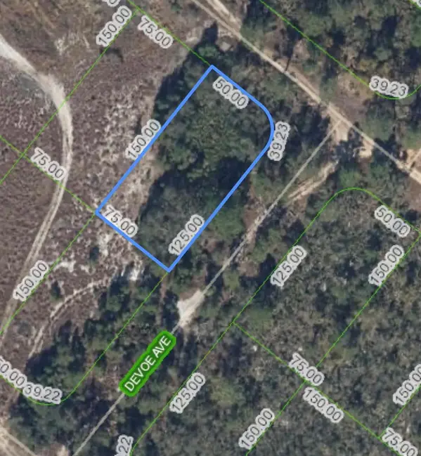 1214 SANDLEWOOD ST, Lake Placid, FL 33852