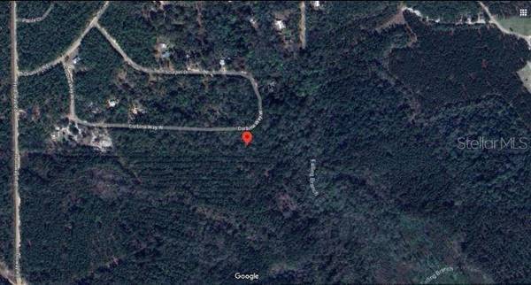 121 CORBINA WAY W, Florahome, FL 32140