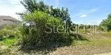 9193 ARBERG ST, Port Charlotte, FL 33981