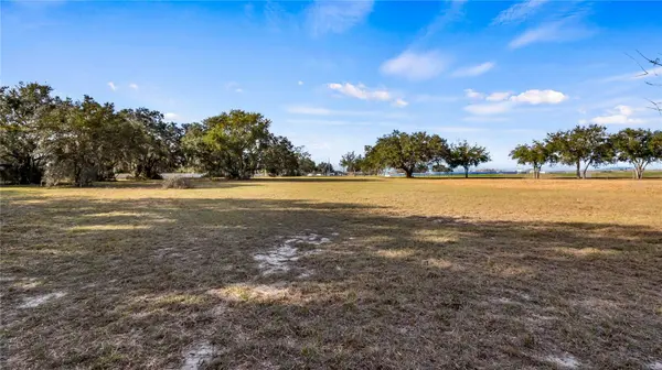 WOODLEA RD, Tavares, FL 32778