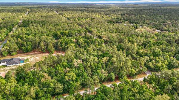 0 SW BREEZY POINT DR, Dunnellon, FL 34431