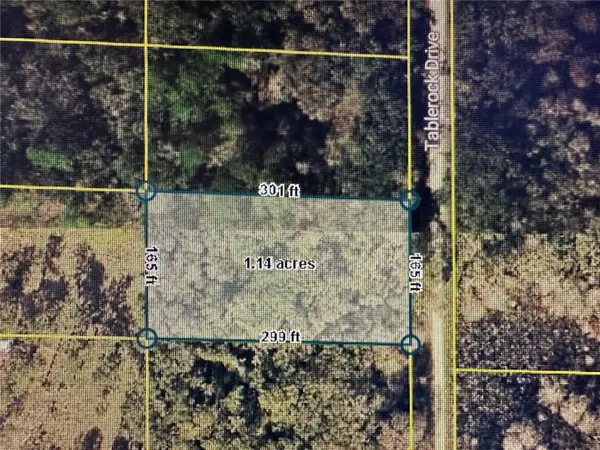 TABLE ROCK DR, Webster, FL 33597