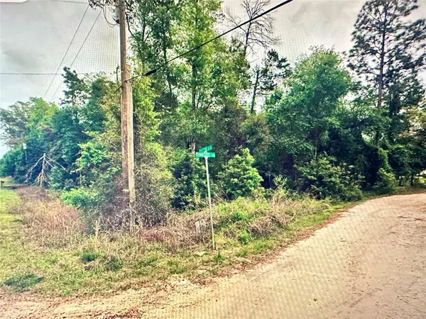 219 KINGSTON BLVD, Satsuma, FL 32189