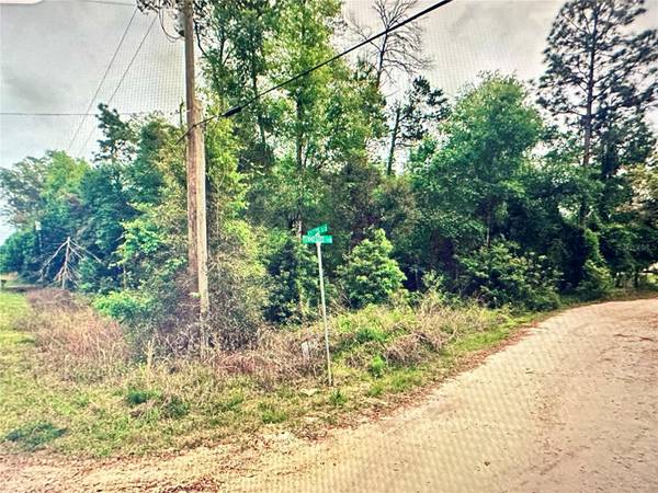 219 KINGSTON BLVD, Satsuma, FL 32189
