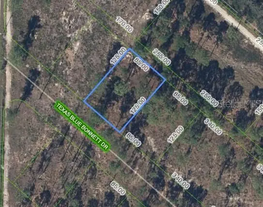 6139 TEXAS BLUE BONNETT DR, Sebring, FL 33876