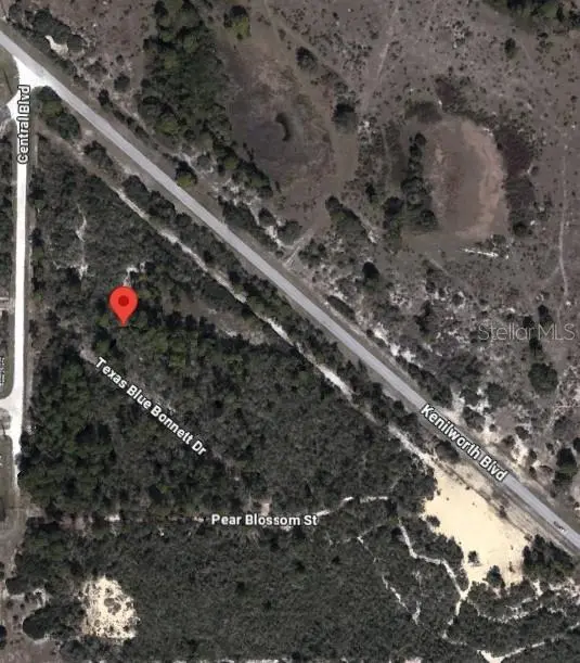 6139 TEXAS BLUE BONNETT DR, Sebring, FL 33876