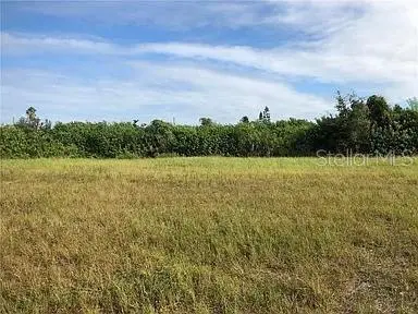 339 NE 19TH TER, Cape Coral, FL 33909