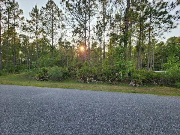 LOT 8 TAMARAC ST, Eustis, FL 32736