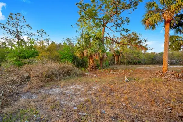 1411 SARASOTA CT, Poinciana, FL 34759