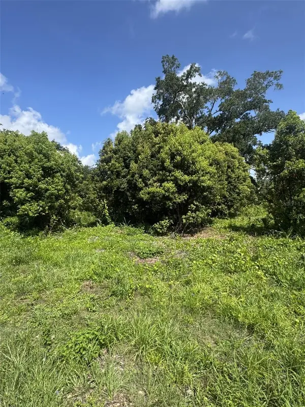 PAIGE AVE, New Smyrna Beach, FL 32168