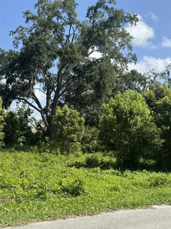 PAIGE AVE, New Smyrna Beach, FL 32168