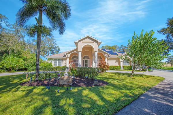 4735 CHELSEA CT, Kissimmee, FL 34744