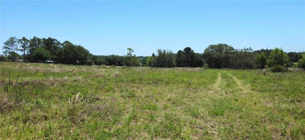 24207 TURKEY LAKE RD, Howey In The Hills, FL 34737
