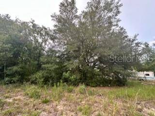 NW 56TH COURT, Ocala, FL 34482