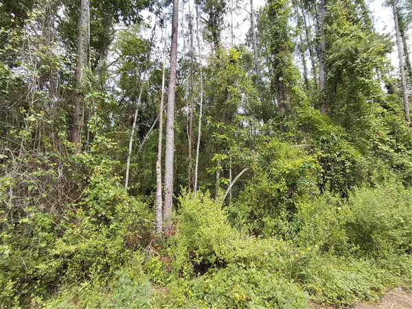 JAMES ST, Astor, FL 32102