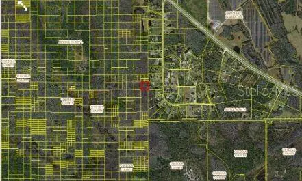 HOLOPAW GROVES RD, St Cloud, FL 34773