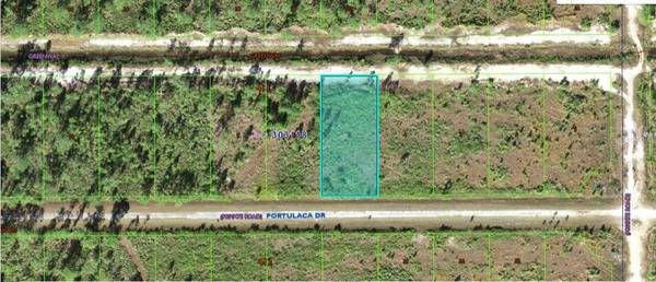 710 PORTULACA DR, Indian Lake Estates, FL 33855