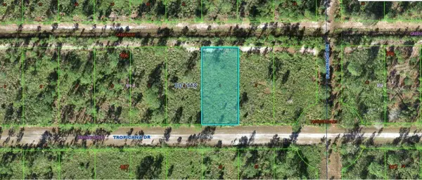 706 TROPICANA DR, Indian Lake Estates, FL 33855