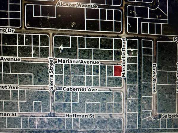 3520 MARIANA AVE, Lake Placid, FL 33852