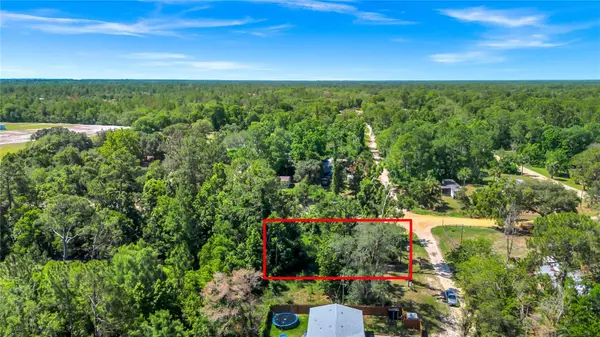 40850 PINE TREE LN, Eustis, FL 32736